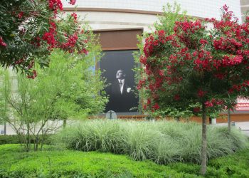 İçeriye Çağırmak / İstinyepark İzmir