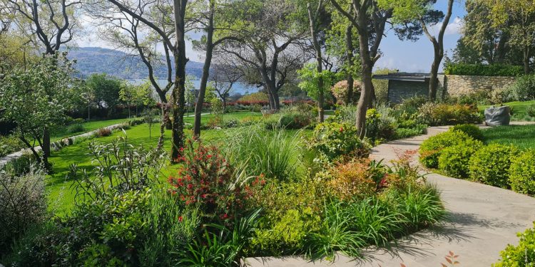 Peyzaj mimarlığı yolu / Ediz Botanik (Fragmanlar)