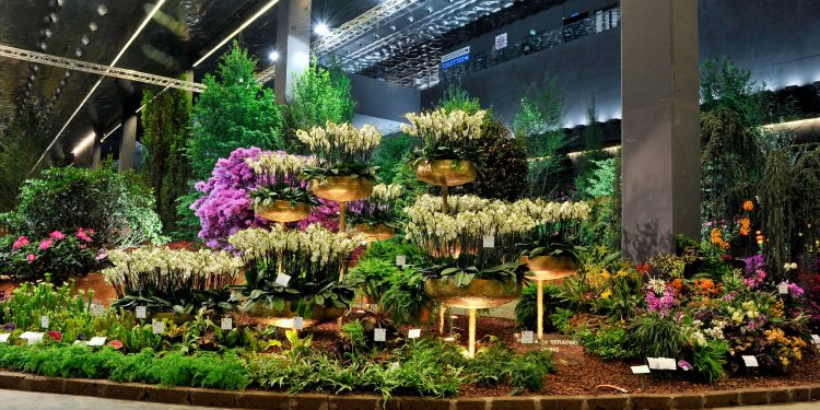 İtalya Cenova-Eroflora gösterisi sürüyor