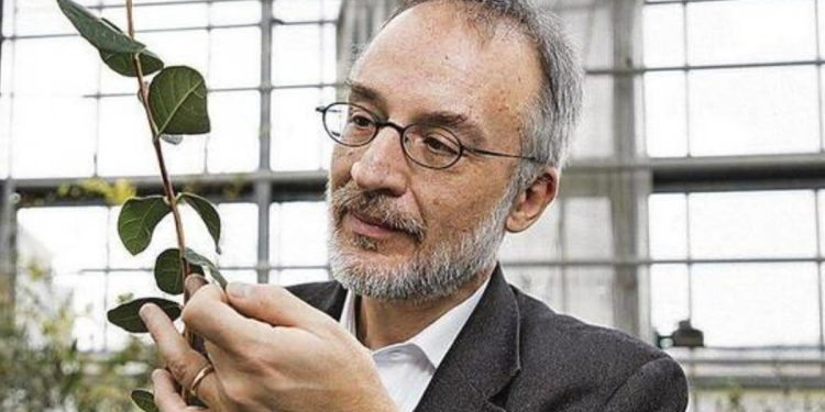 Ağaçtan nehirler… (Eroflora 2025)